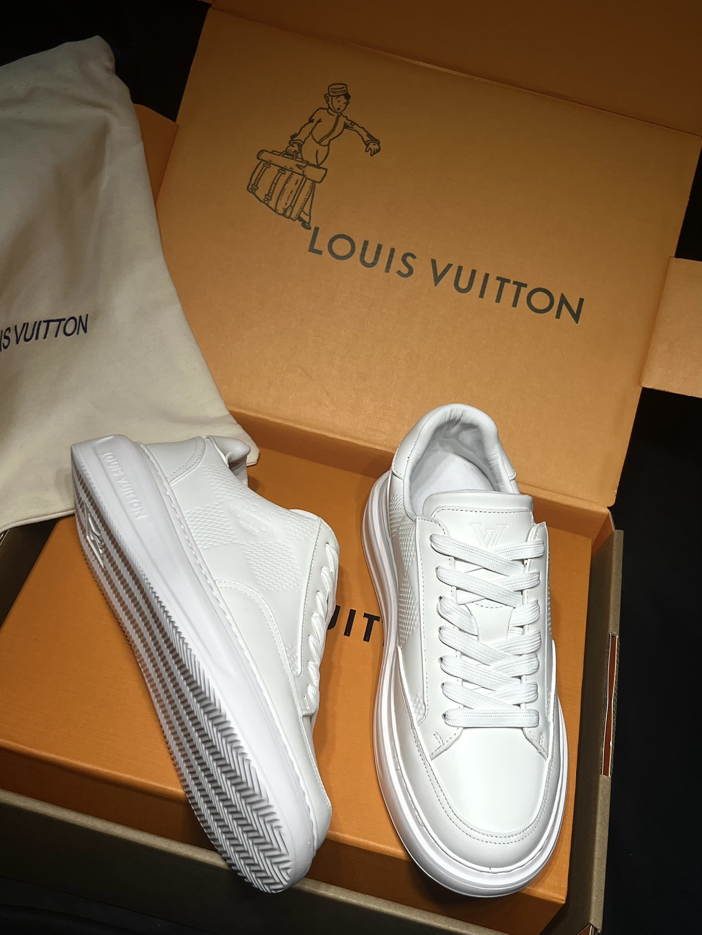 Louis Vuitton Shoes