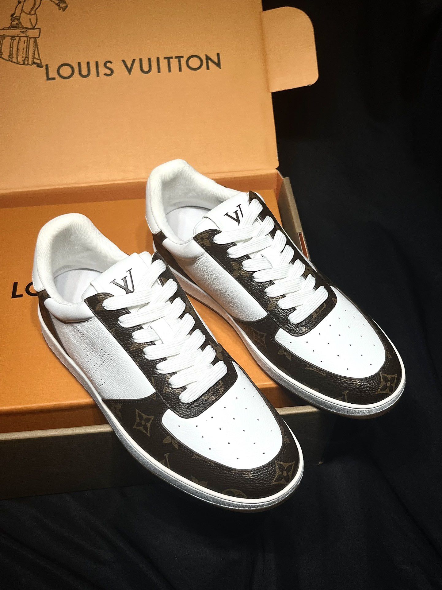 Louis Vuitton Shoes
